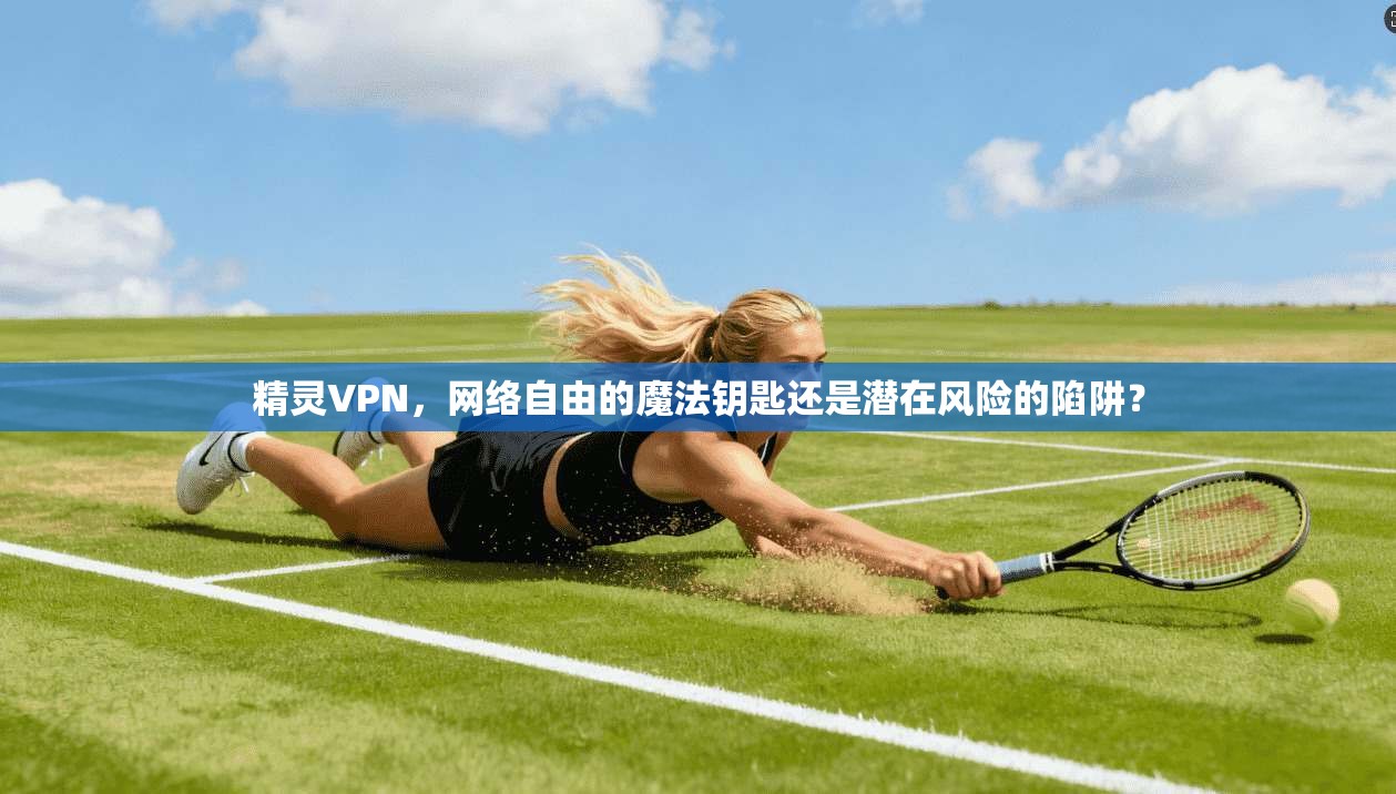 精灵VPN，网络自由的魔法钥匙还是潜在风险的陷阱？