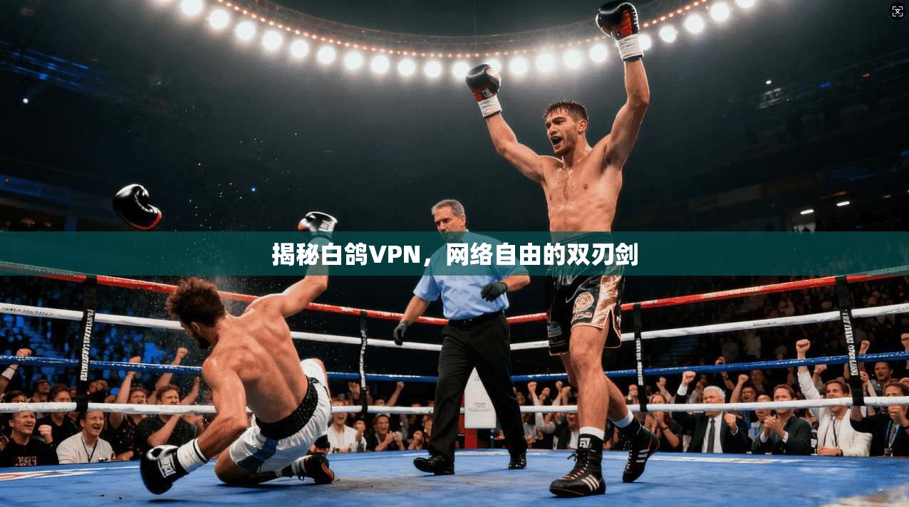 揭秘白鸽VPN，网络自由的双刃剑