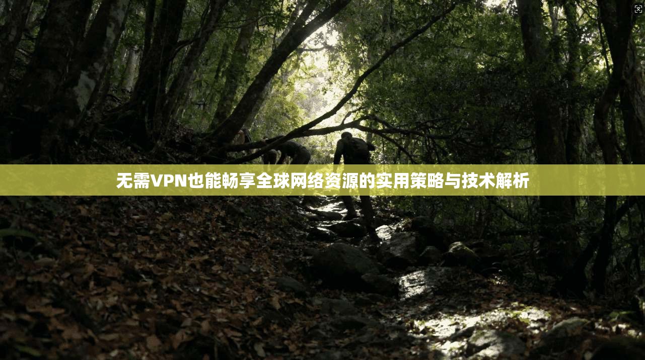 无需VPN也能畅享全球网络资源的实用策略与技术解析