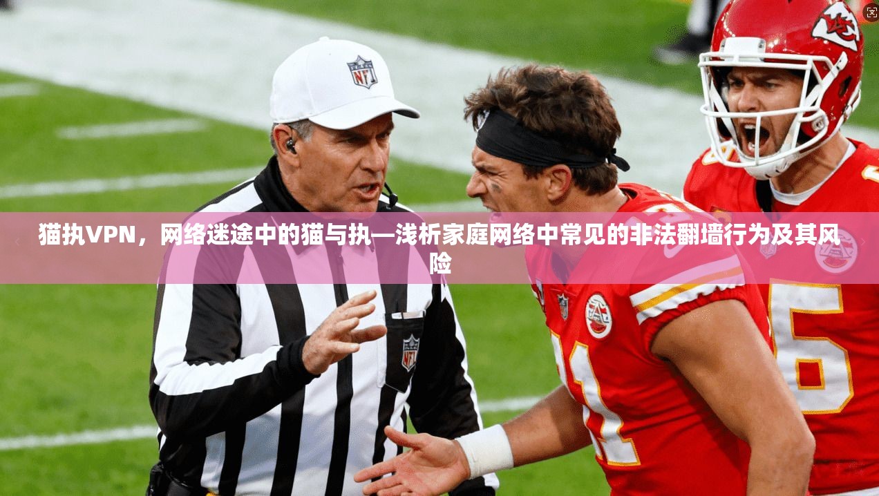 猫执VPN，网络迷途中的猫与执—浅析家庭网络中常见的非法翻墙行为及其风险