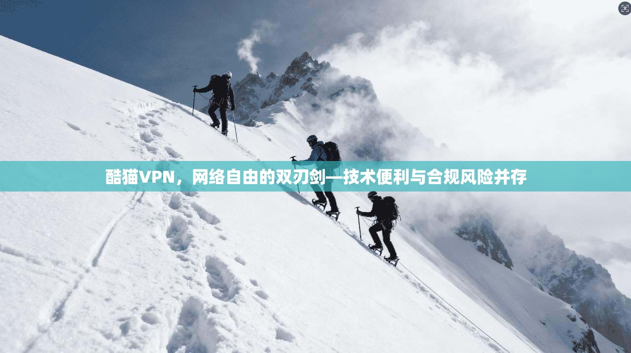 酷猫VPN，网络自由的双刃剑—技术便利与合规风险并存