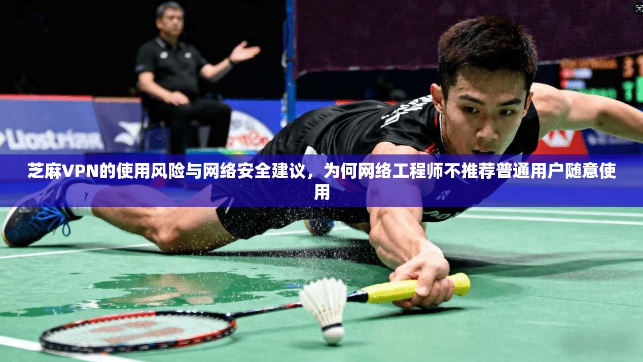 芝麻VPN的使用风险与网络安全建议，为何网络工程师不推荐普通用户随意使用