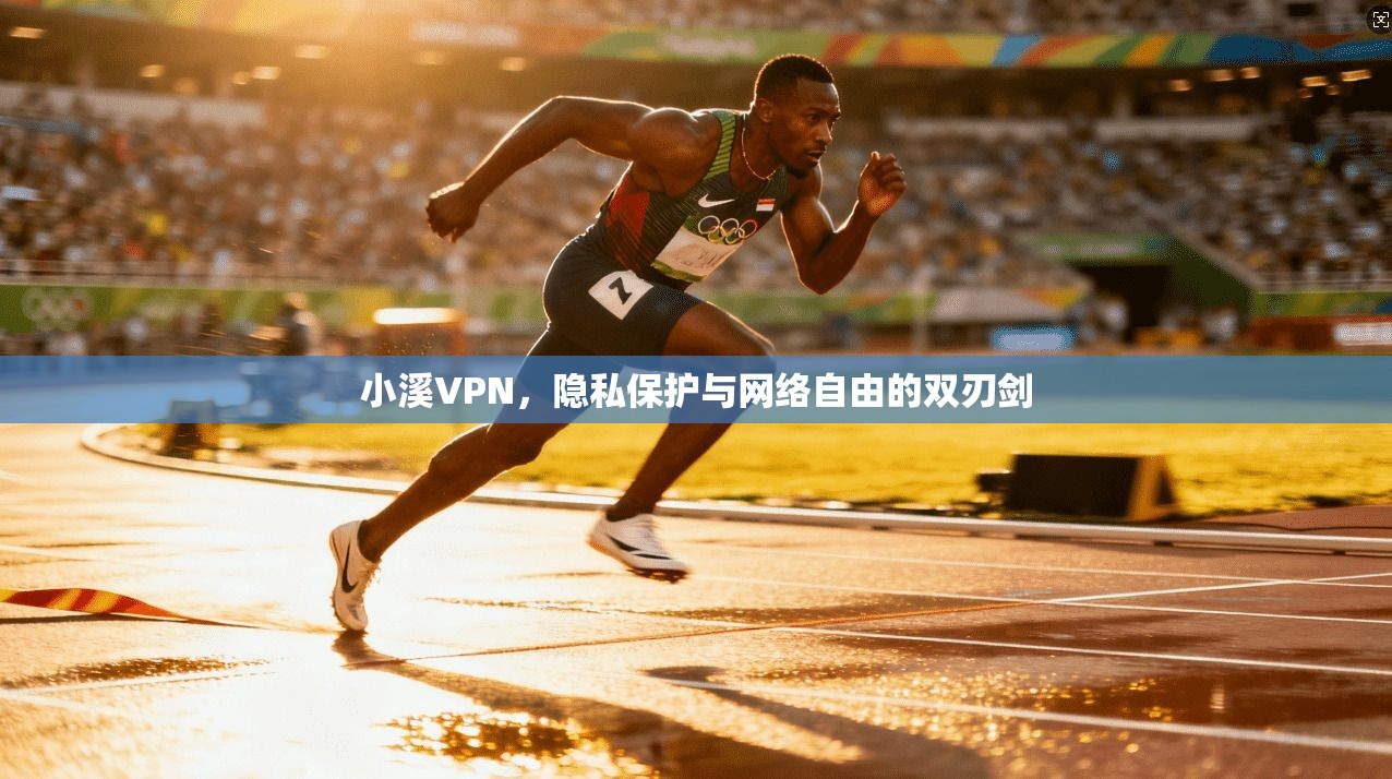 小溪VPN，隐私保护与网络自由的双刃剑