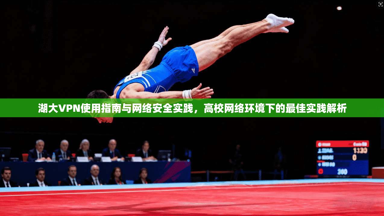 湖大VPN使用指南与网络安全实践，高校网络环境下的最佳实践解析