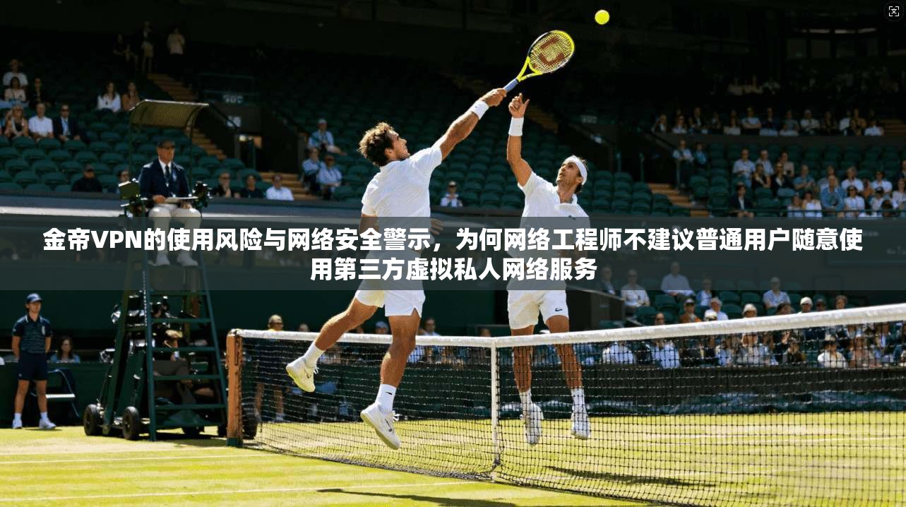 金帝VPN的使用风险与网络安全警示，为何网络工程师不建议普通用户随意使用第三方虚拟私人网络服务