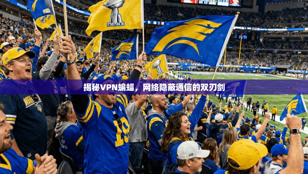 揭秘VPN蝙蝠，网络隐蔽通信的双刃剑