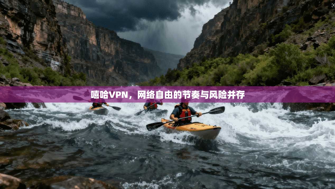 嘻哈VPN，网络自由的节奏与风险并存