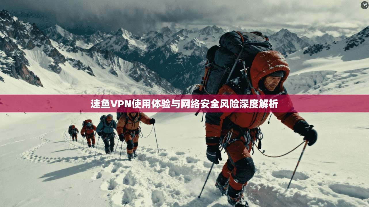 速鱼VPN使用体验与网络安全风险深度解析