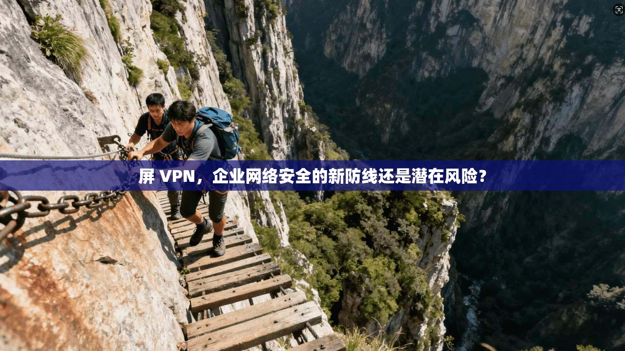 屏 VPN，企业网络安全的新防线还是潜在风险？