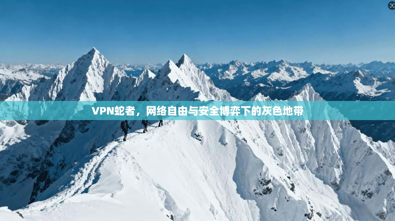 VPN蛇者，网络自由与安全博弈下的灰色地带