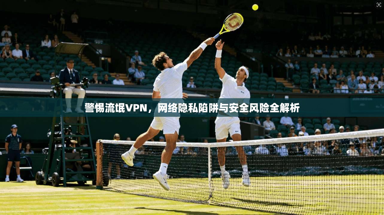 警惕流氓VPN，网络隐私陷阱与安全风险全解析