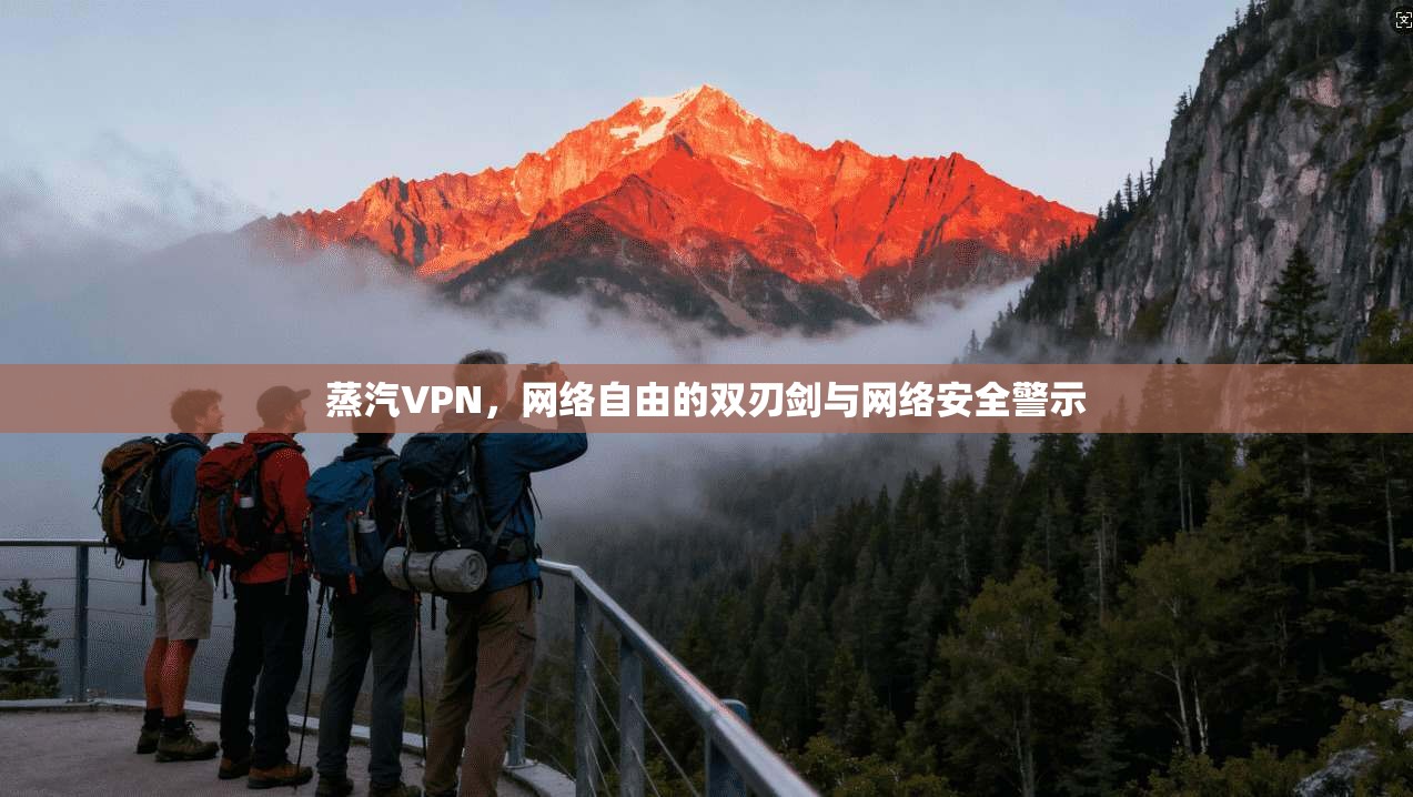 蒸汽VPN，网络自由的双刃剑与网络安全警示