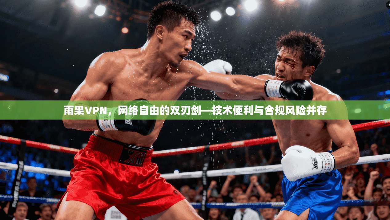 雨果VPN，网络自由的双刃剑—技术便利与合规风险并存