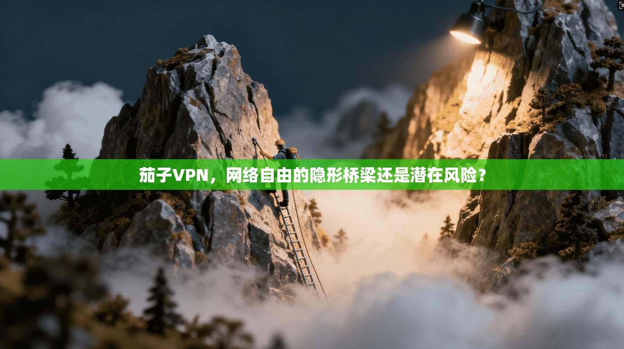 茄子VPN，网络自由的隐形桥梁还是潜在风险？