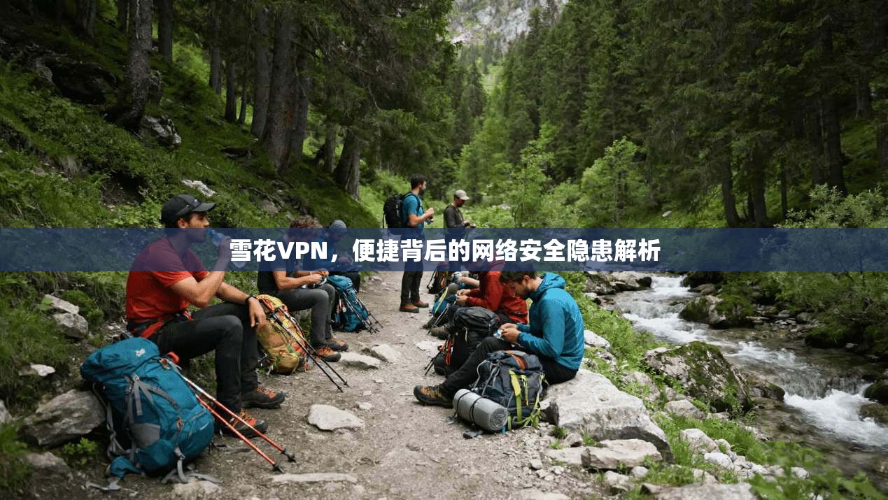雪花VPN，便捷背后的网络安全隐患解析