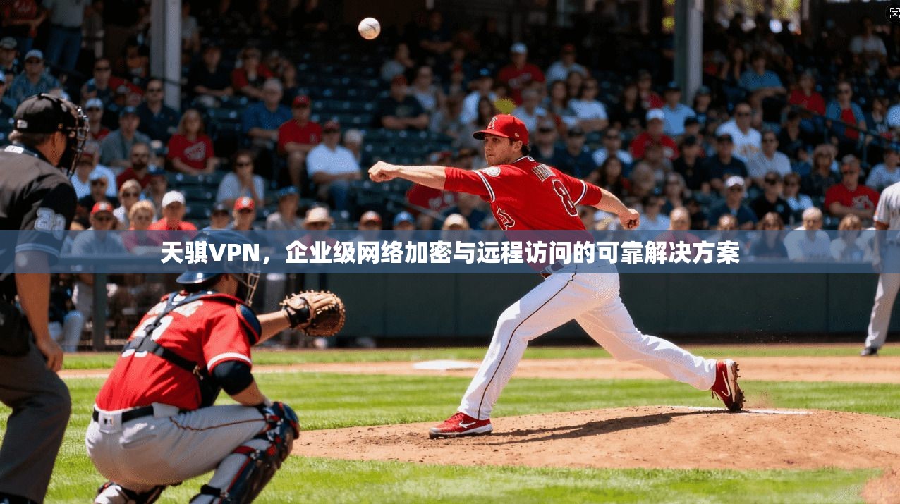 天骐VPN，企业级网络加密与远程访问的可靠解决方案