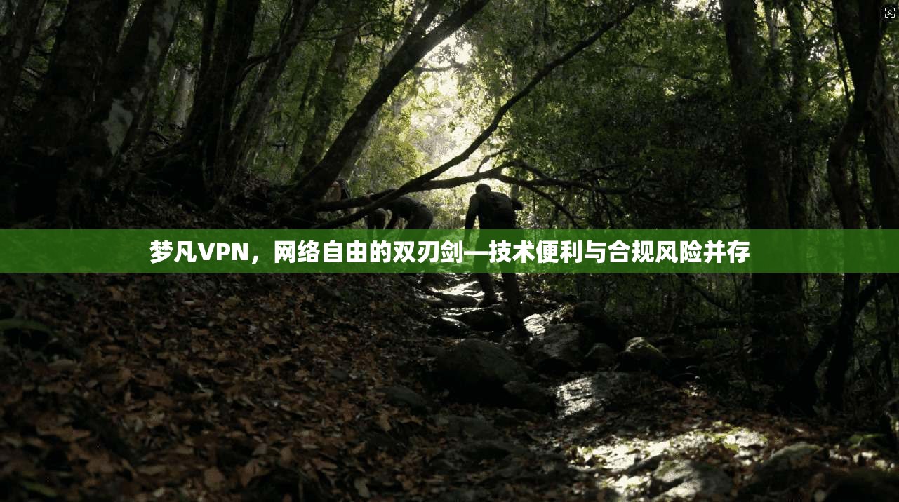 梦凡VPN，网络自由的双刃剑—技术便利与合规风险并存