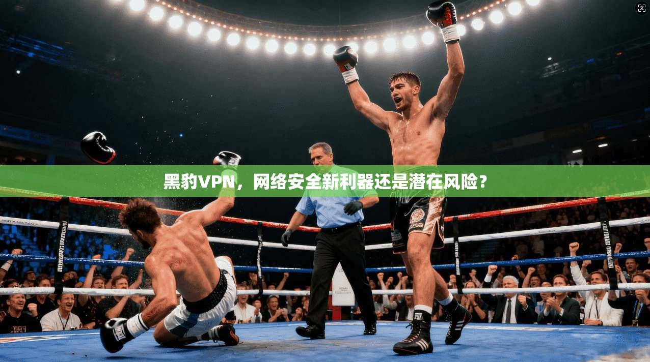 黑豹VPN，网络安全新利器还是潜在风险？