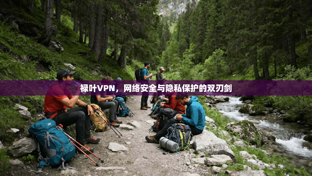 禄叶VPN，网络安全与隐私保护的双刃剑