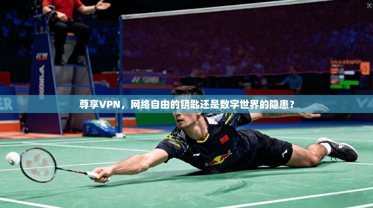 尊享VPN，网络自由的钥匙还是数字世界的隐患？