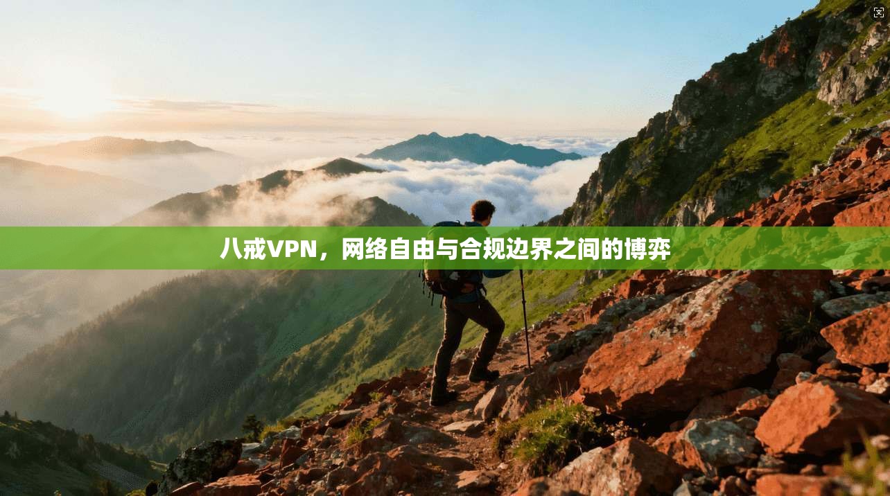 八戒VPN，网络自由与合规边界之间的博弈