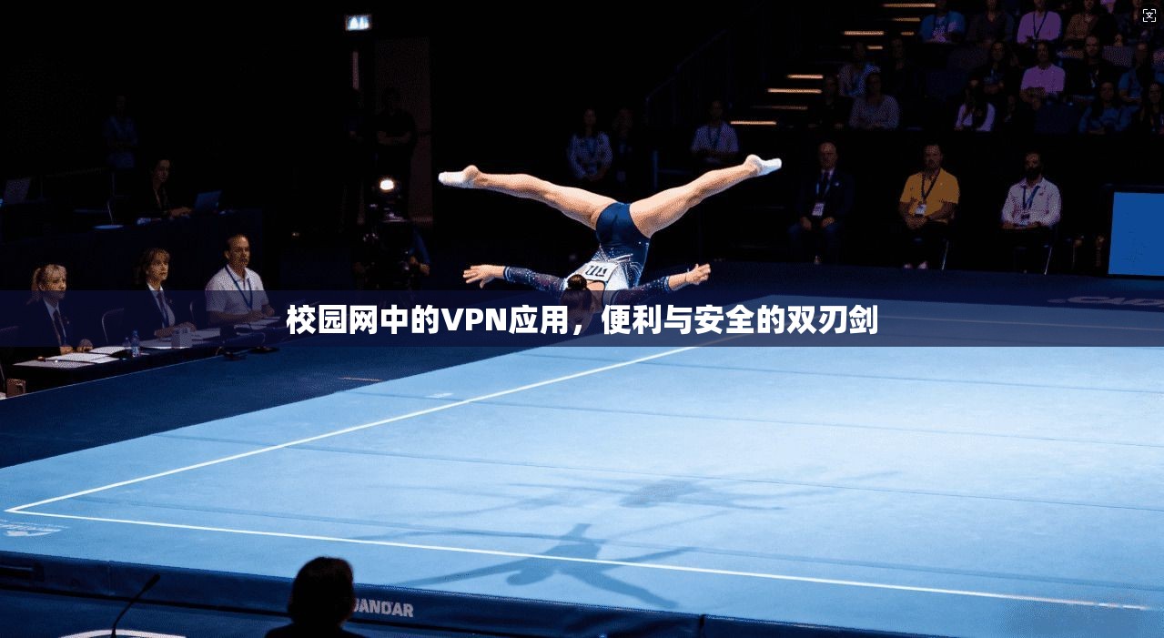 校园网中的VPN应用，便利与安全的双刃剑
