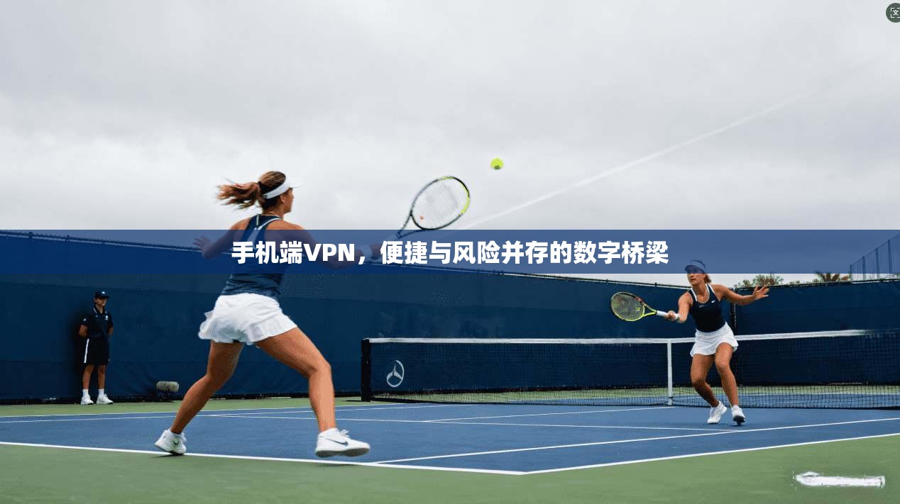 手机端VPN，便捷与风险并存的数字桥梁