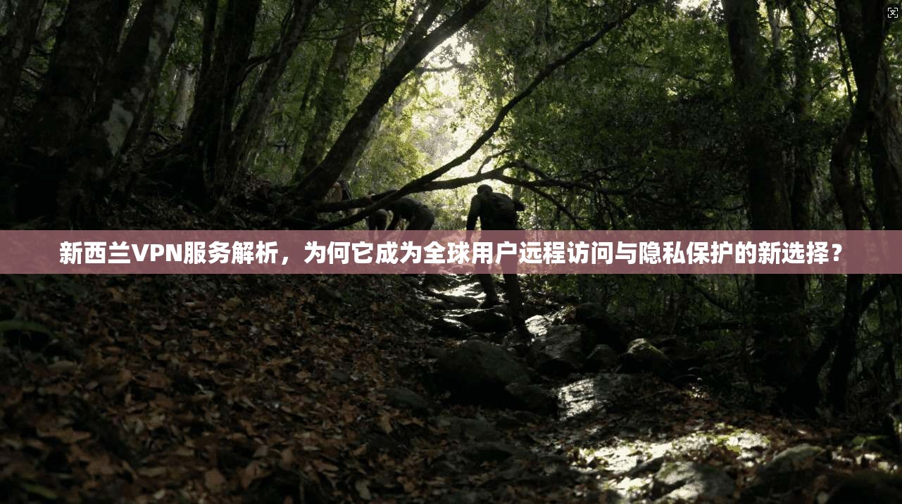 新西兰VPN服务解析，为何它成为全球用户远程访问与隐私保护的新选择？
