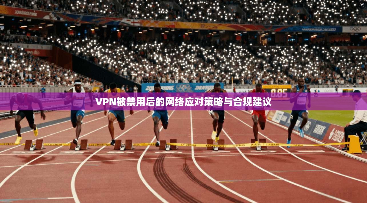 VPN被禁用后的网络应对策略与合规建议