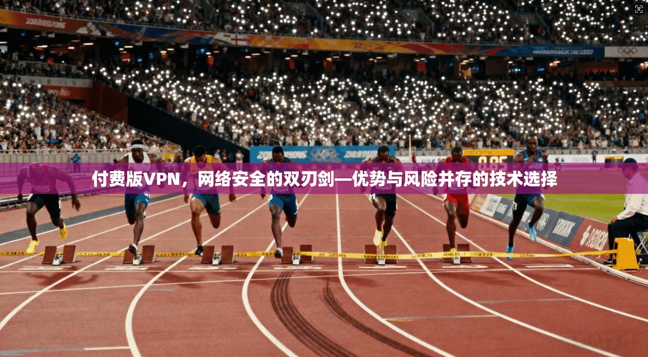 付费版VPN，网络安全的双刃剑—优势与风险并存的技术选择
