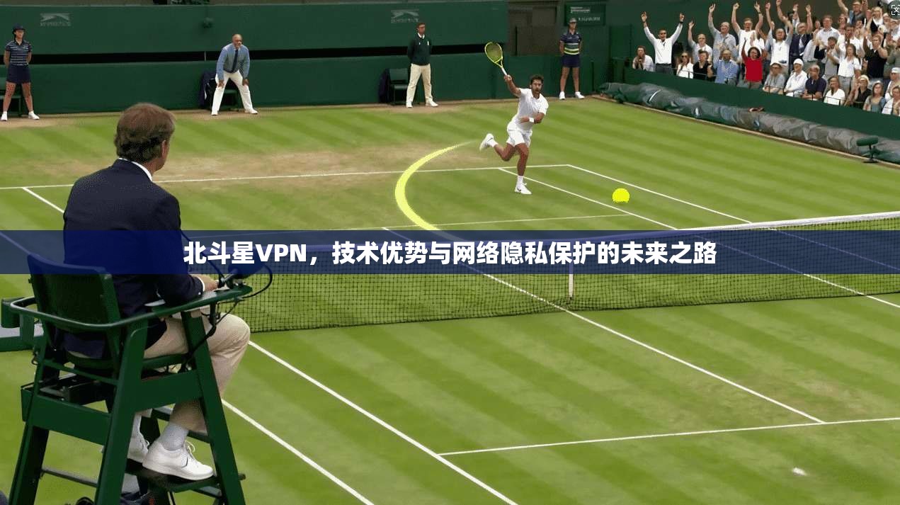 北斗星VPN,技术优势与网络隐私保护的未来之路