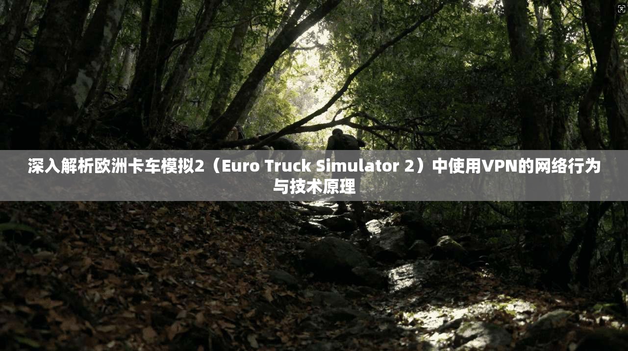 深入解析欧洲卡车模拟2（Euro Truck Simulator 2）中使用VPN的网络行为与技术原理