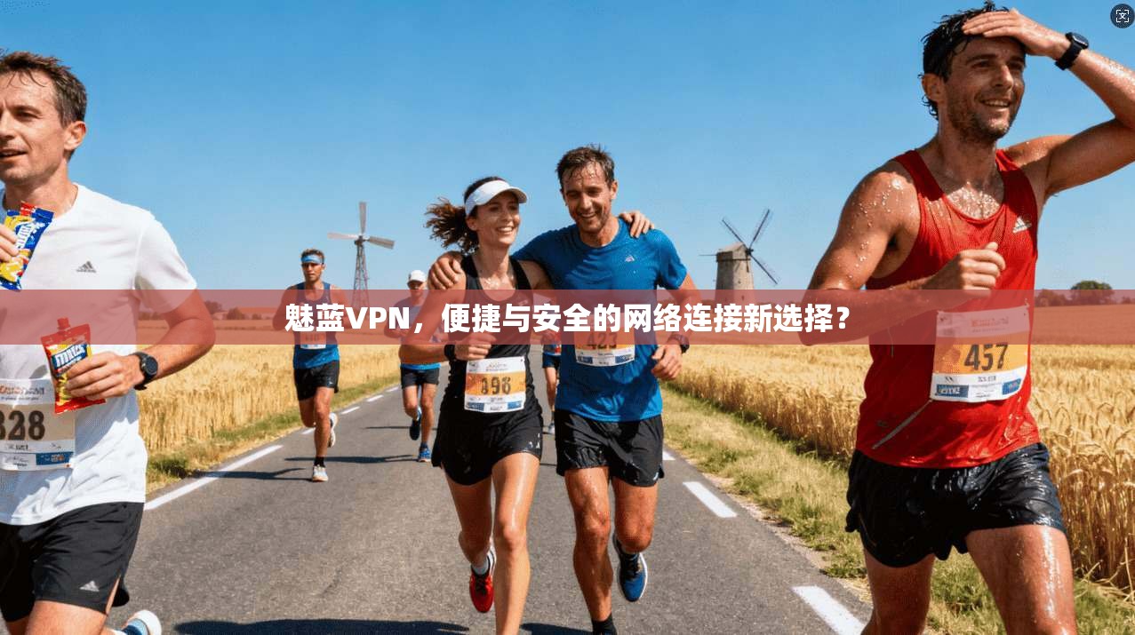 魅蓝VPN，便捷与安全的网络连接新选择？