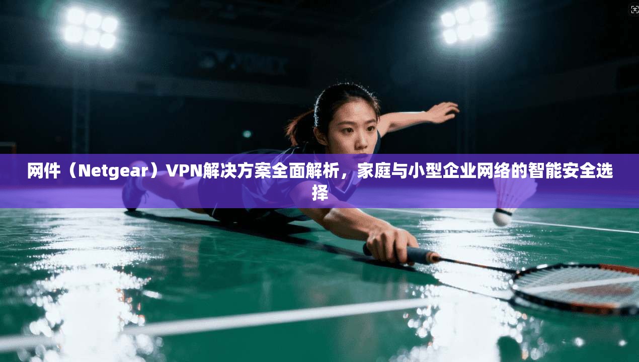 网件(Netgear)VPN解决方案全面解析,家庭与小型企业网络的智能安全选择