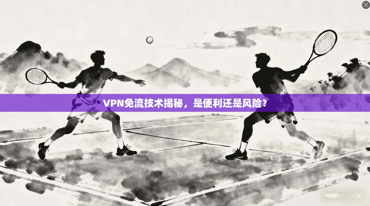 VPN免流技术揭秘，是便利还是风险？