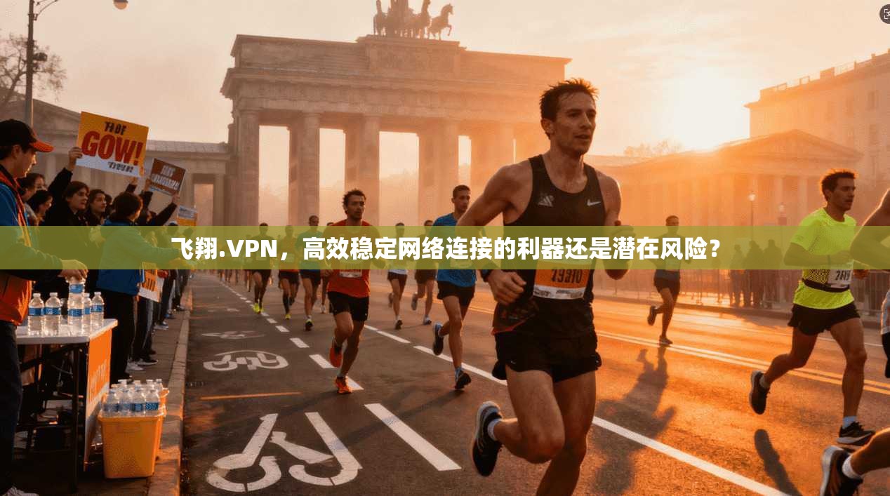 飞翔.VPN，高效稳定网络连接的利器还是潜在风险？