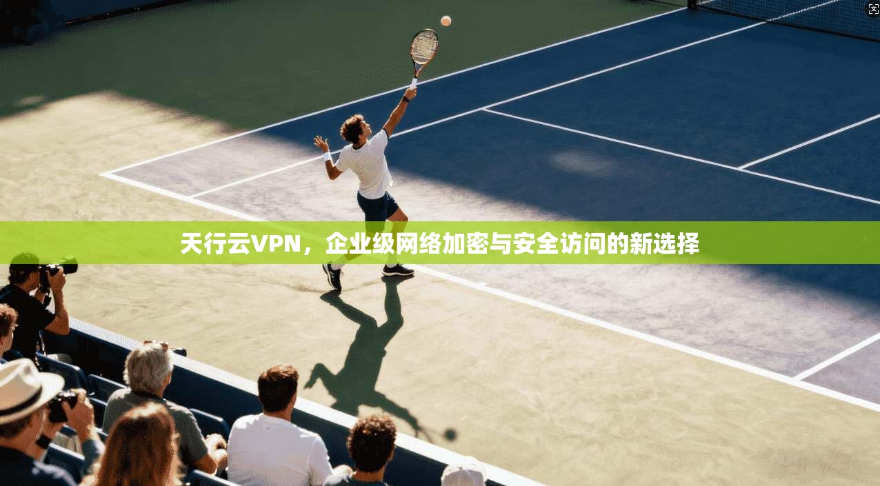天行云VPN，企业级网络加密与安全访问的新选择