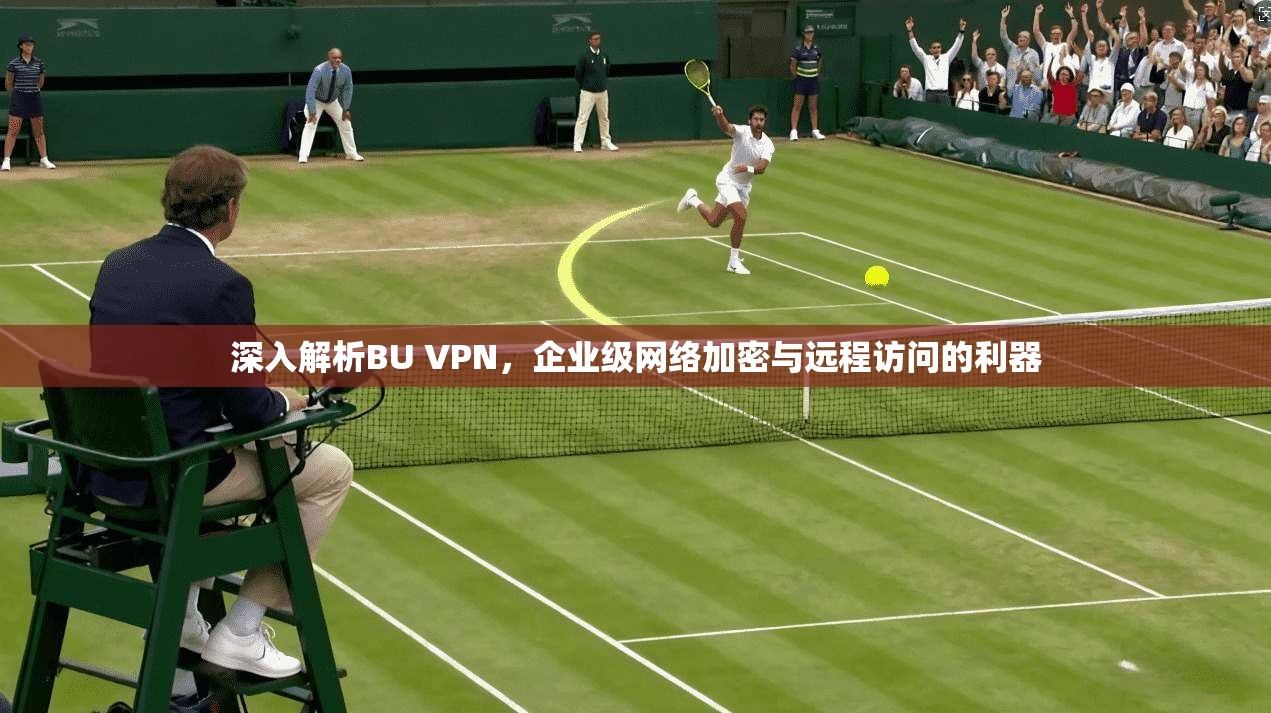 深入解析BU VPN，企业级网络加密与远程访问的利器