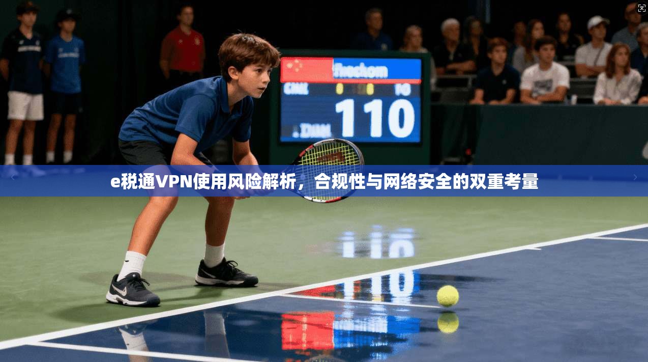e税通VPN使用风险解析，合规性与网络安全的双重考量