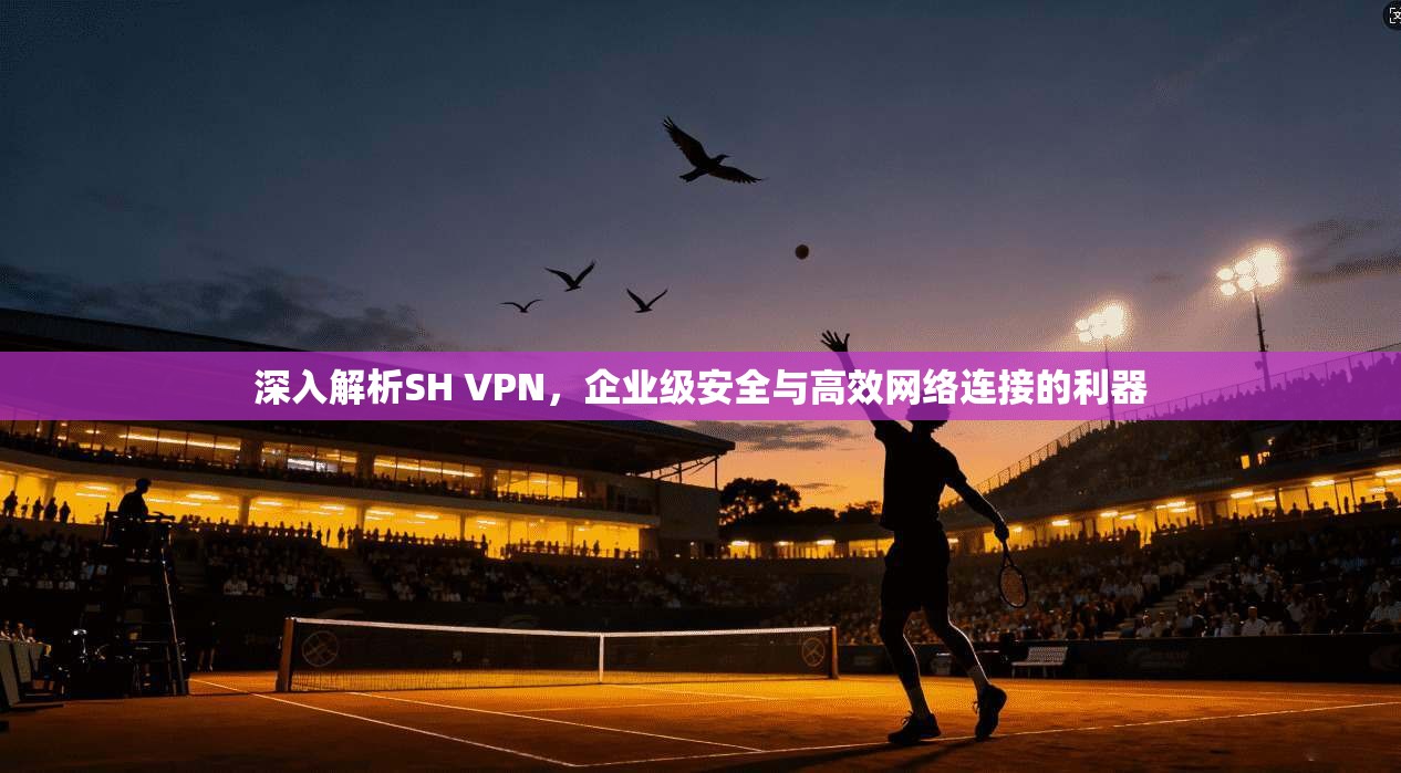 深入解析SH VPN,企业级安全与高效网络连接的利器