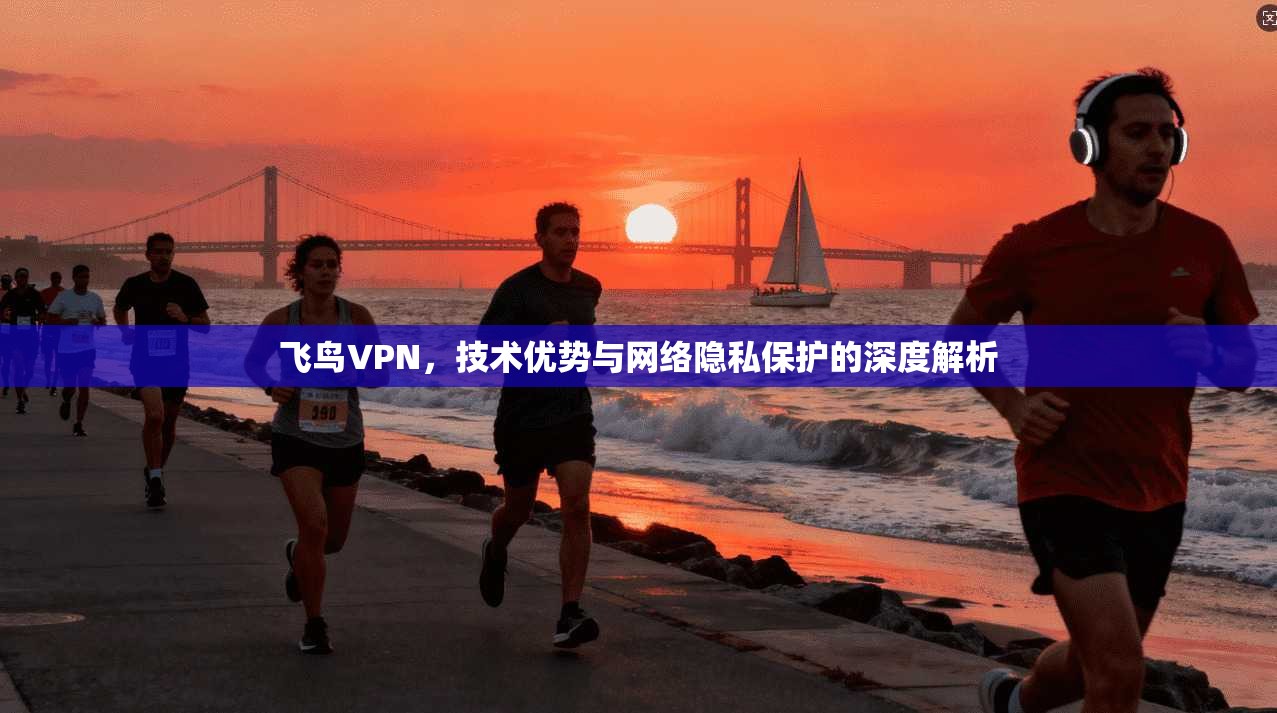 飞鸟VPN,技术优势与网络隐私保护的深度解析