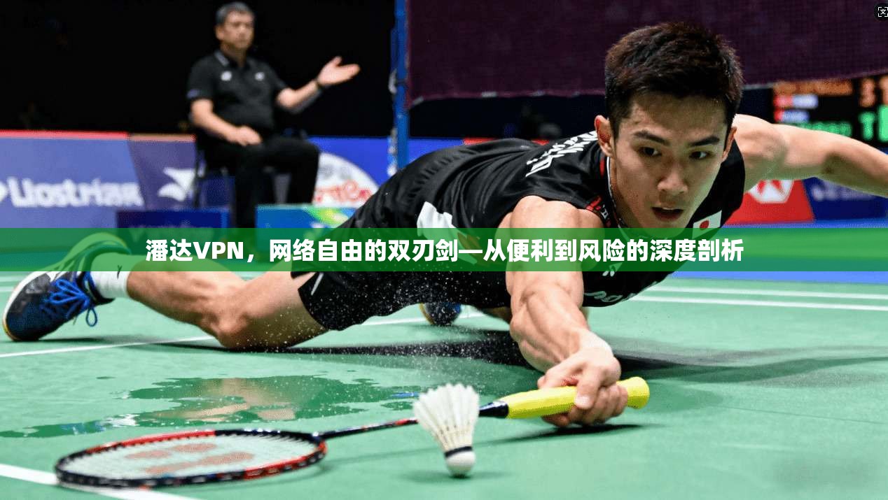 潘达VPN,网络自由的双刃剑—从便利到风险的深度剖析