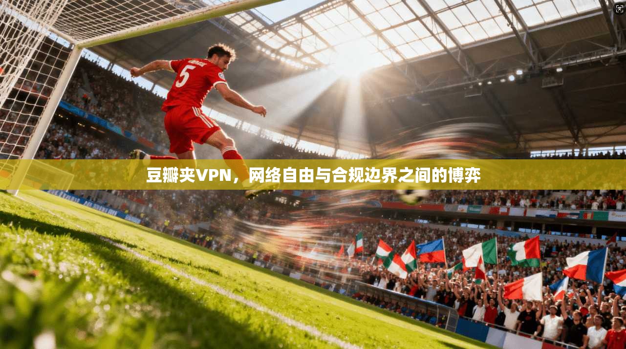 豆瓣夹VPN，网络自由与合规边界之间的博弈