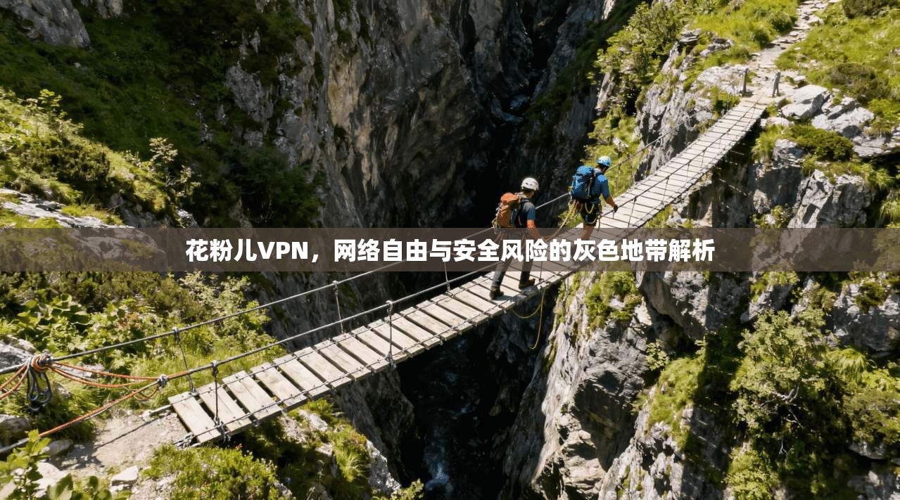 花粉儿VPN，网络自由与安全风险的灰色地带解析
