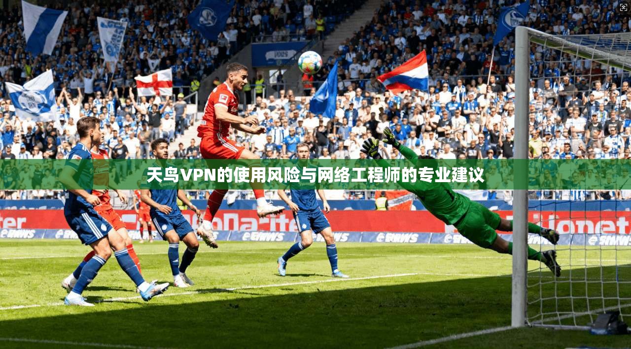 天鸟VPN的使用风险与网络工程师的专业建议