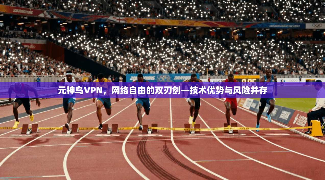 元神鸟VPN，网络自由的双刃剑—技术优势与风险并存