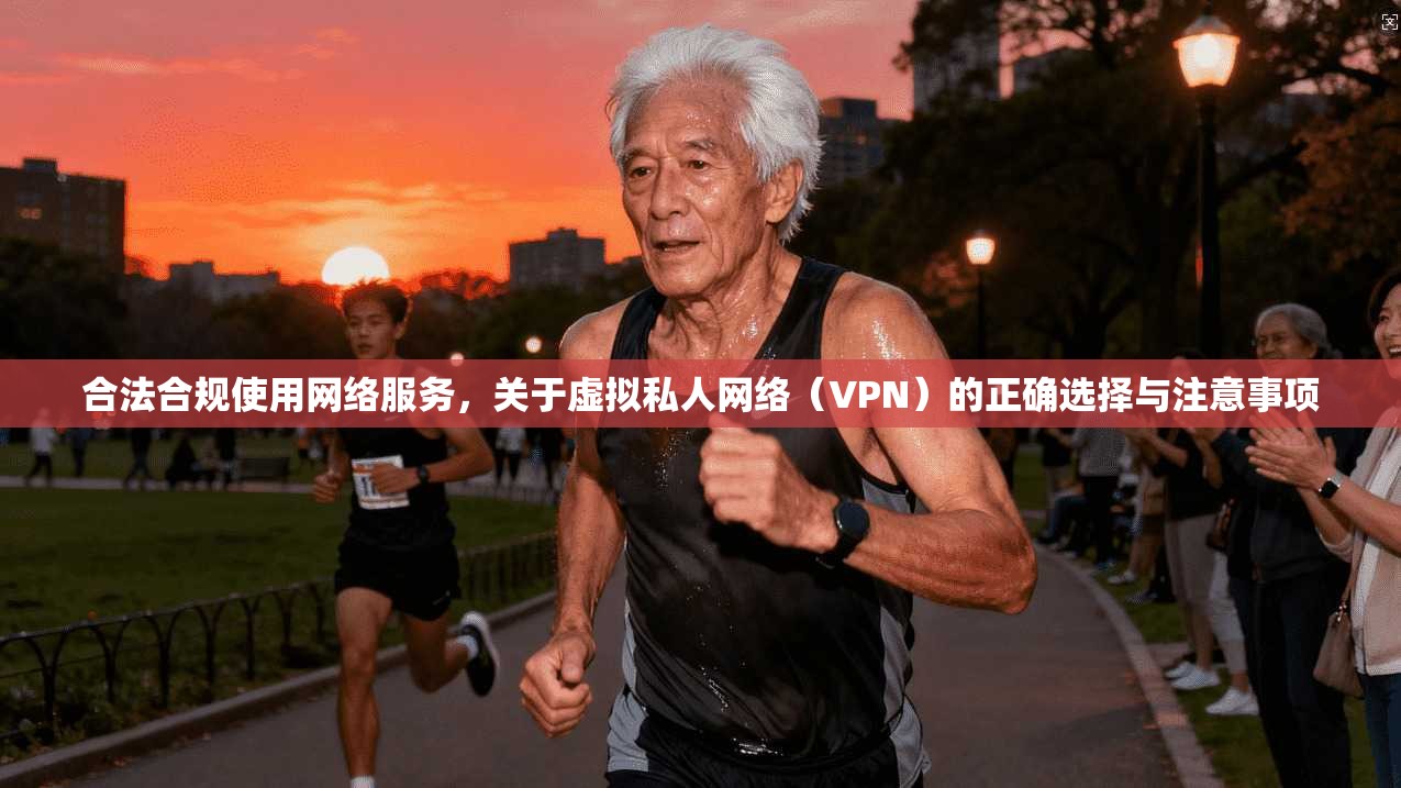 合法合规使用网络服务，关于虚拟私人网络（VPN）的正确选择与注意事项