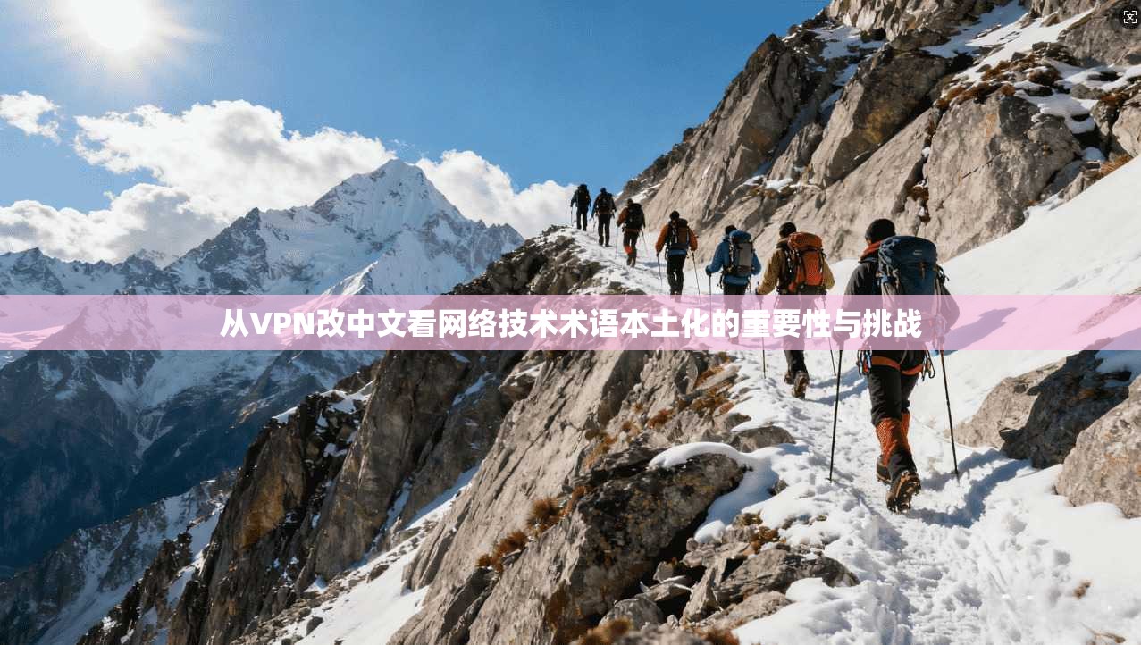从VPN改中文看网络技术术语本土化的重要性与挑战