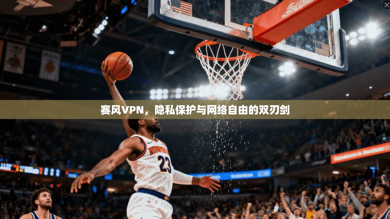 赛风VPN，隐私保护与网络自由的双刃剑