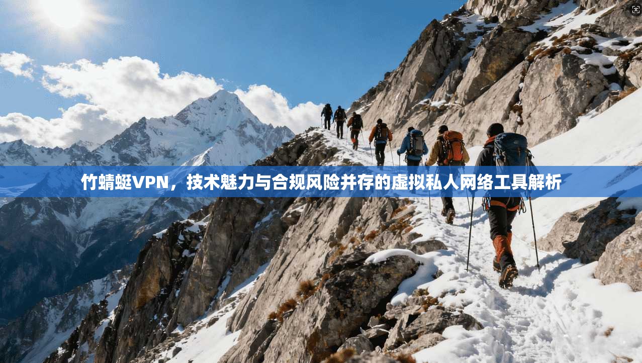 竹蜻蜓VPN，技术魅力与合规风险并存的虚拟私人网络工具解析